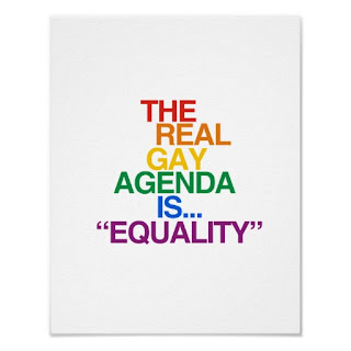agenda of the gay rights movement soft gay dicks